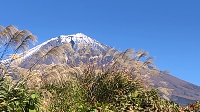 素晴らしい富士山の麓の墓参りに行って来ました！